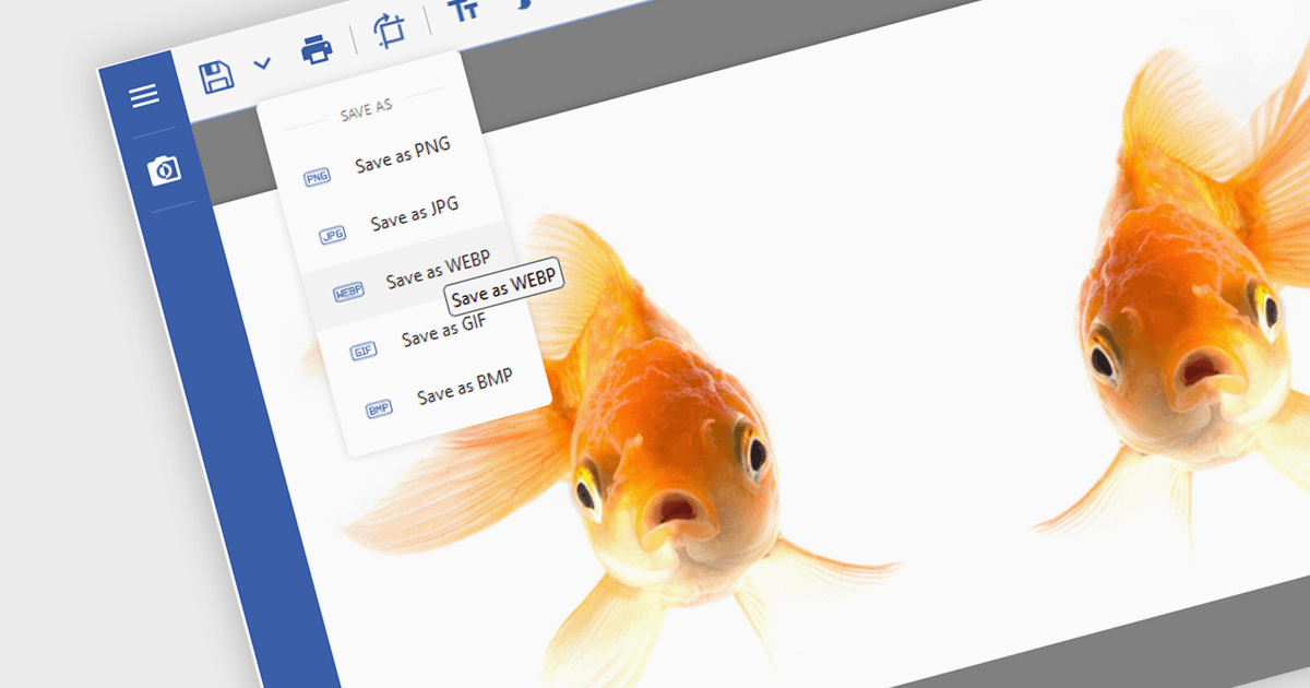 Let Your App Handle Multiple Image Formats