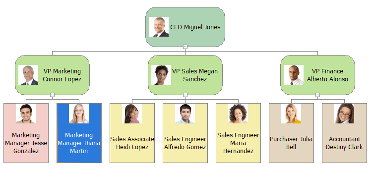 DevExpress VCL Org Chart product image