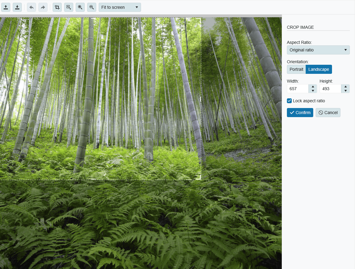 Telerik UI for ASP.NET Core Image Editor product image
