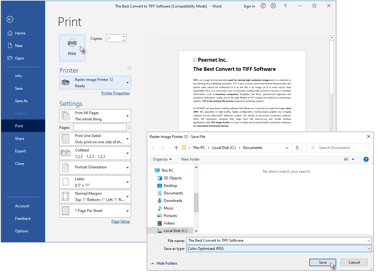 image du produit Raster Image Printer