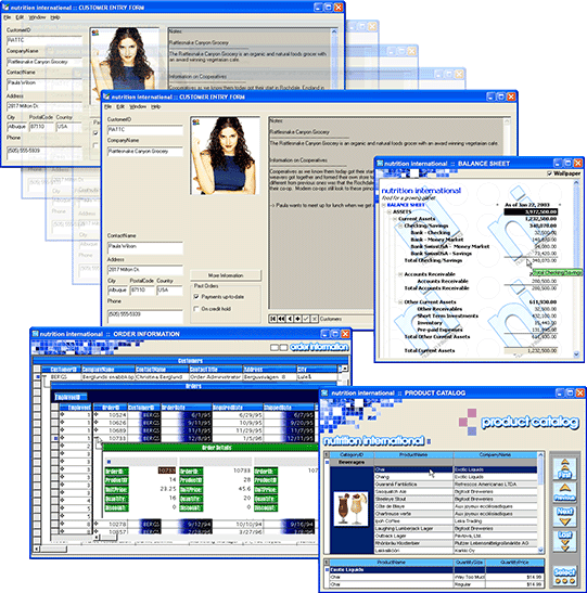 ComponentOne SizerOne product image