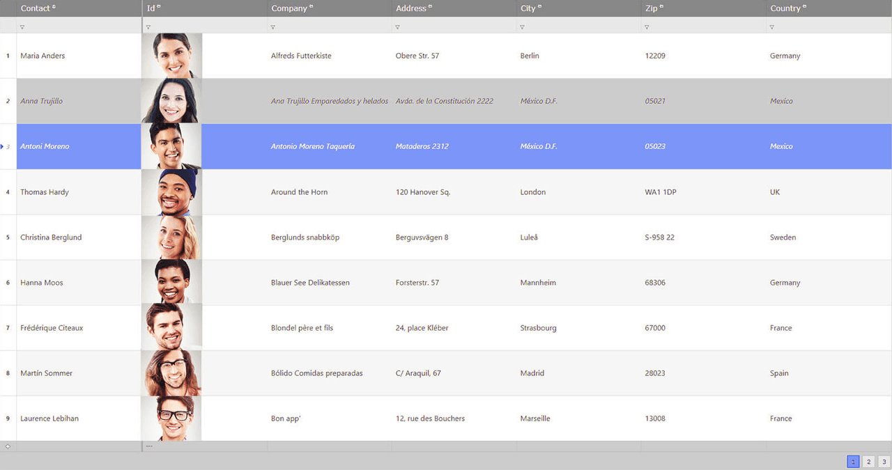 Infragistics Ultimate UI for ASP.NET Web Forms Data Grid product image Infragistics Ultimate UI for ASP.NET Web Forms Data Grid product image