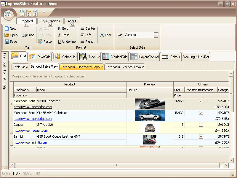 ExpressSkins Library product image