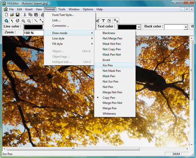 Give your application support for the creation, editing, and displaying of Metafiles.