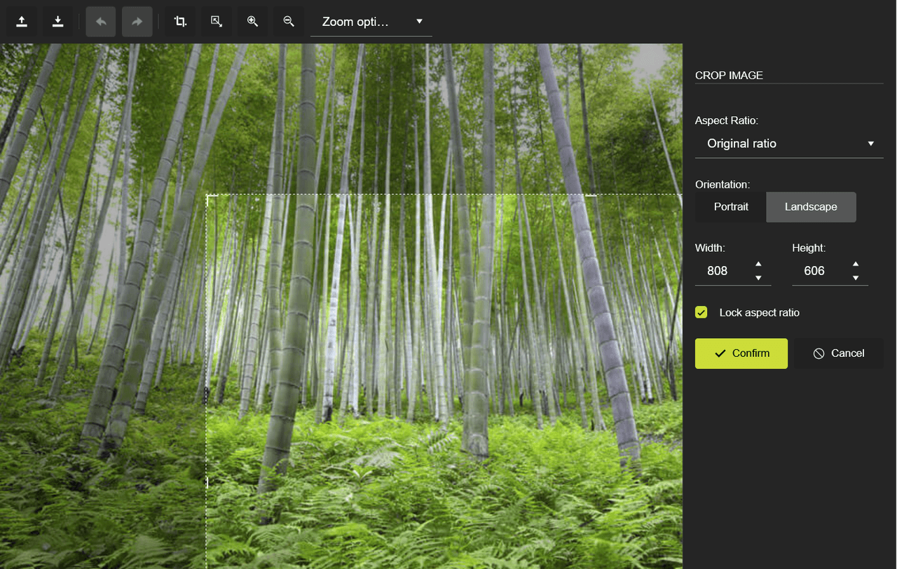 immagine del prodotto Kendo UI jQuery Image Editor