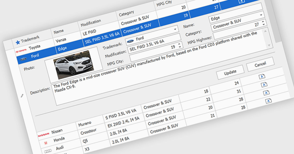 Enhance Grid Data Entry with Custom Edit Forms
