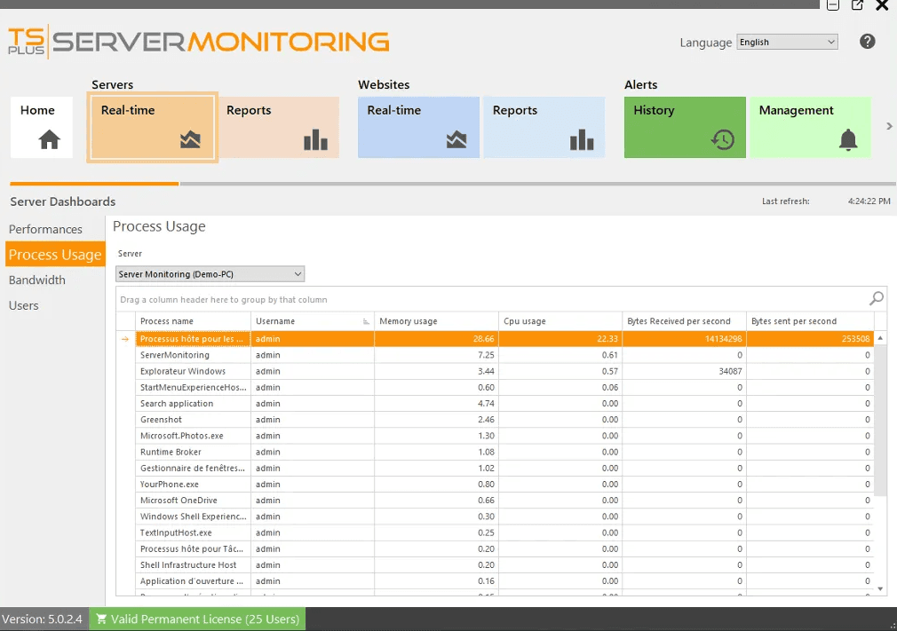 Show the processes currently used on the selected server, and other key indicators.