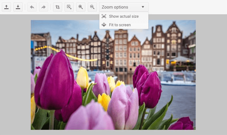 Telerik UI for ASP.NET MVC Image Editor 제품 이미지 Telerik UI for ASP.NET MVC Image Editor 제품 이미지