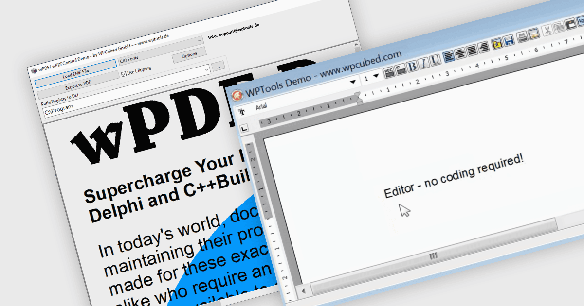 Add PDF and Word Processing to Delphi 13 Apps