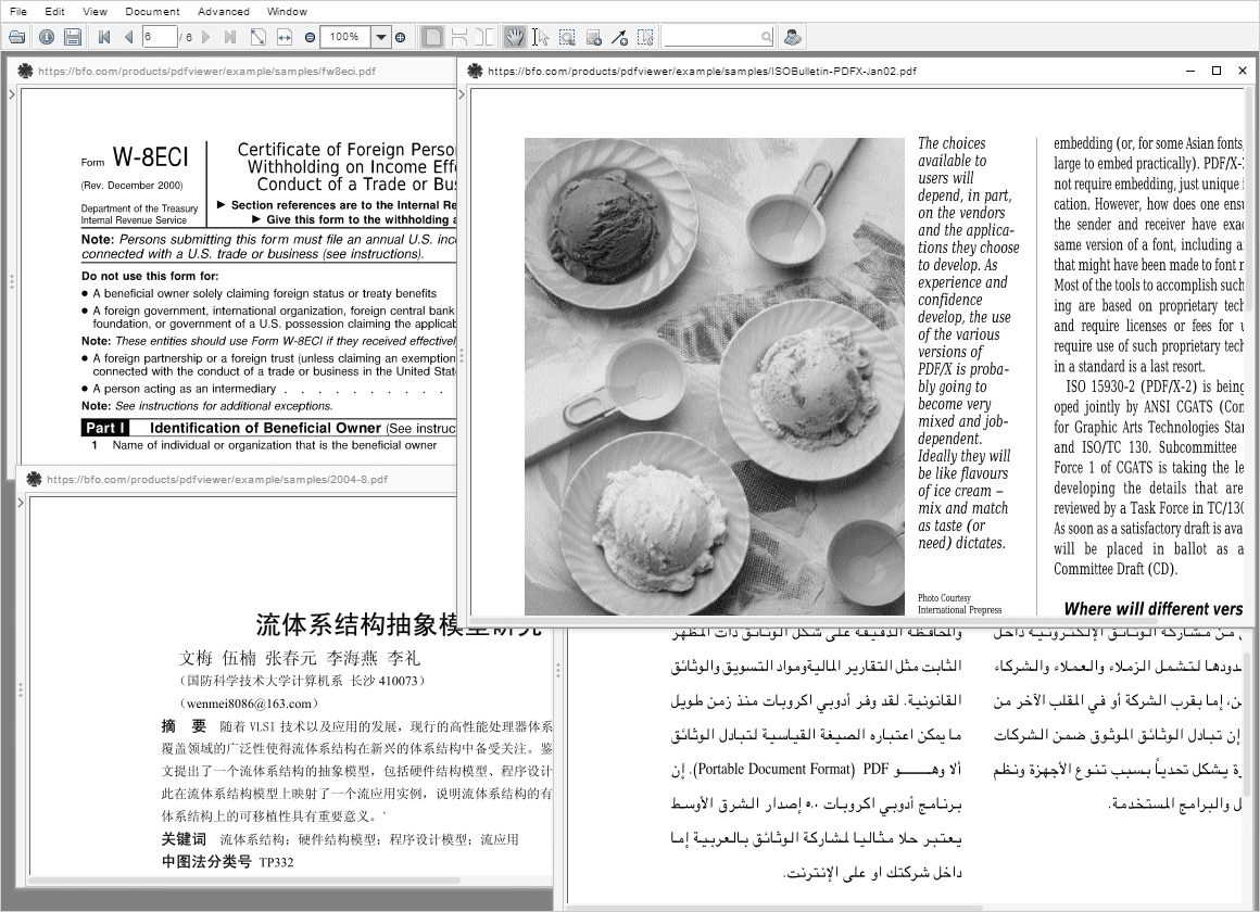 Big Faceless PDF Library 产品图片