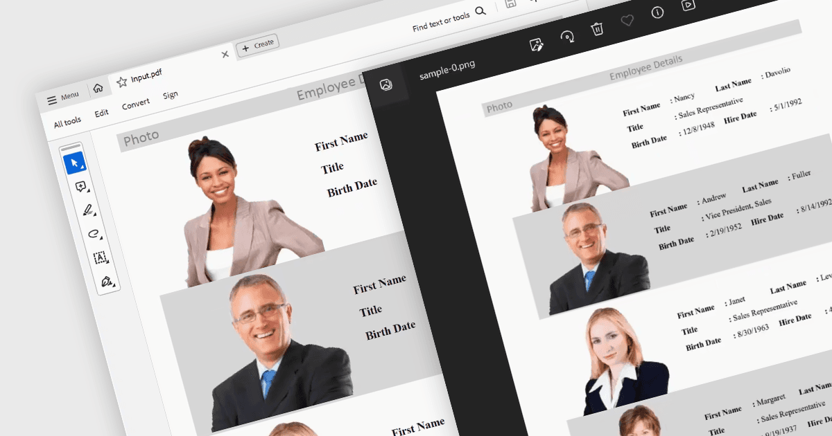 Convert PDF Pages to Images in .NET 8 WPF Apps