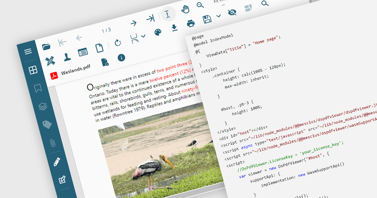 Transform PDF Editing with WebAssembly Viewer