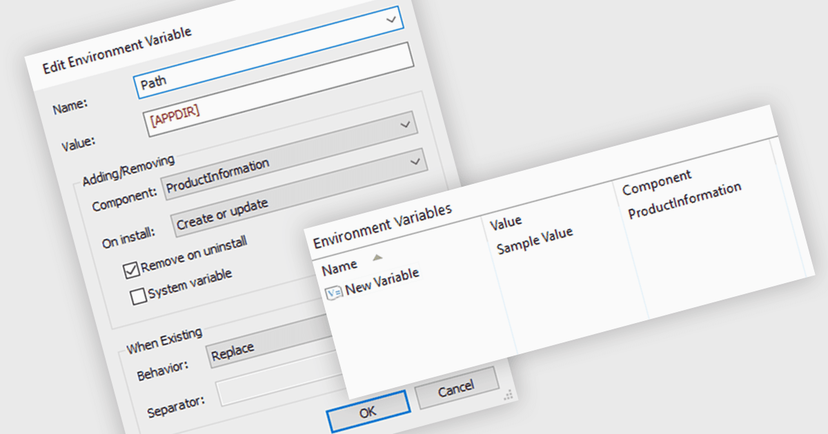 Fine-Tune Environment Variables During Installation