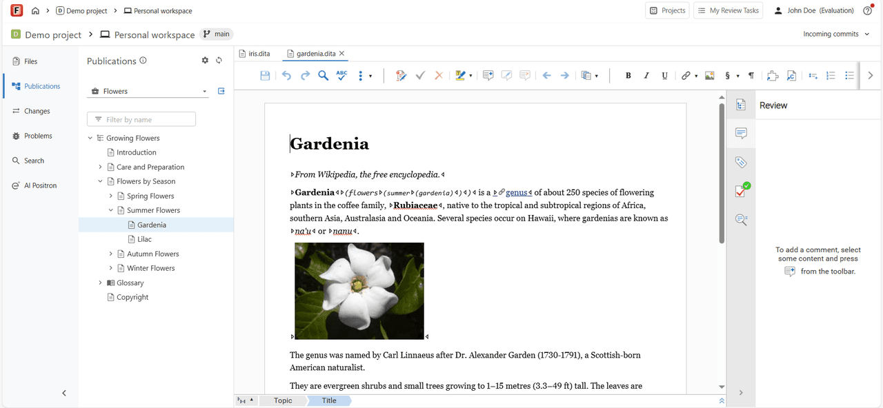 Web collaboration for XML documentation review workflows.