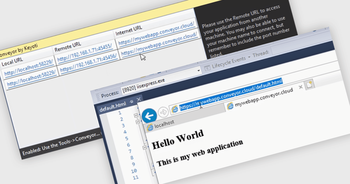 Make Local Apps Visible Via Your LAN or the Internet