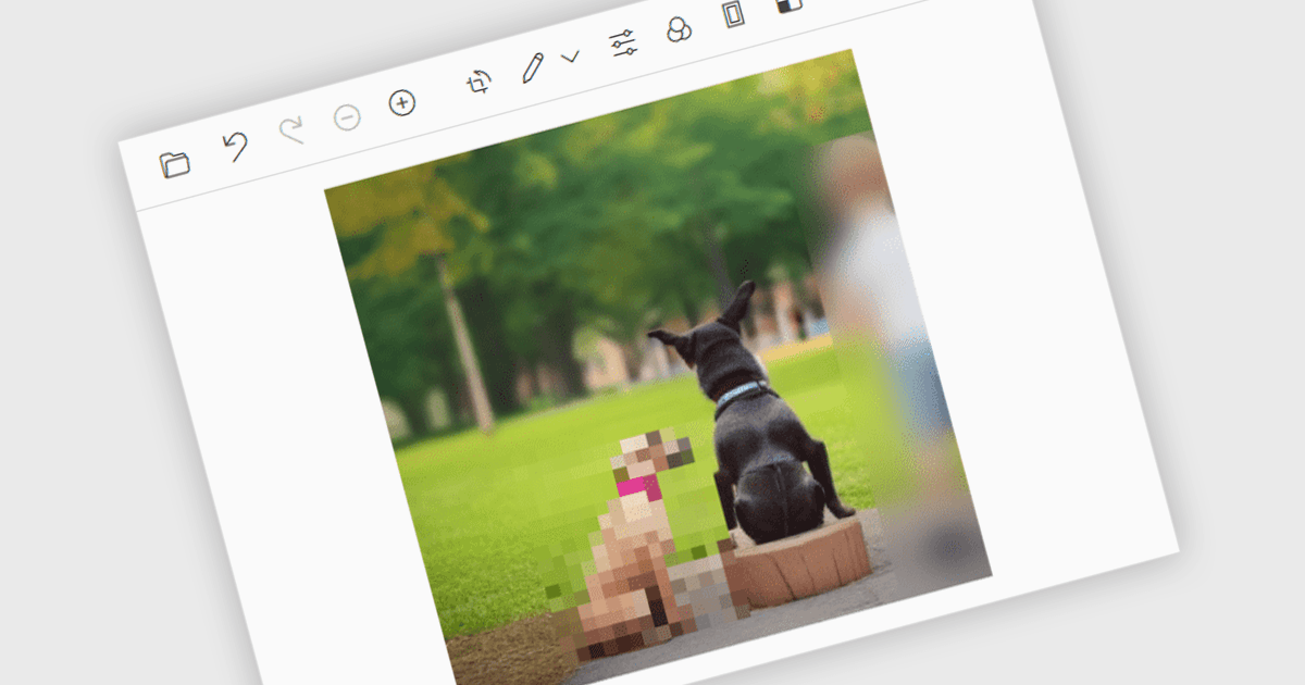 Easily Conceal Sensitive Information in Your Images