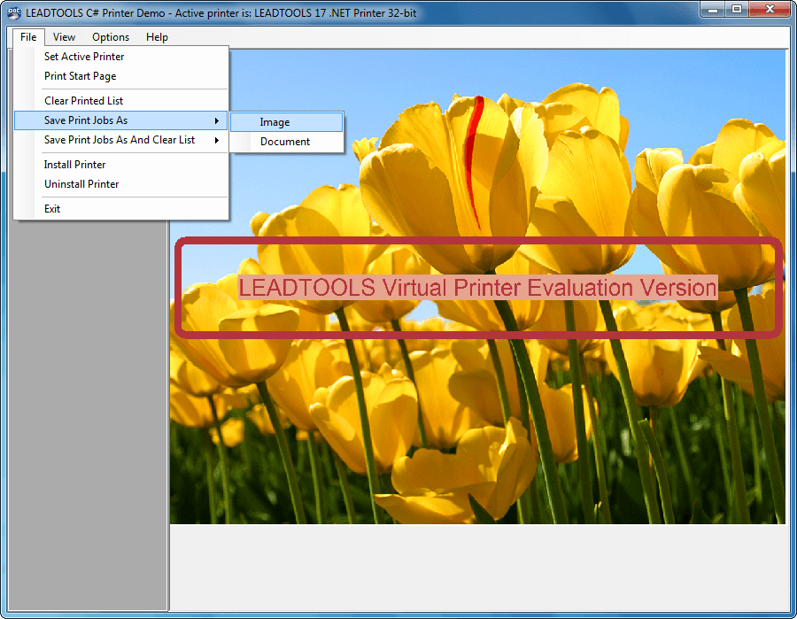 Virtual Printer SDK Module now available
