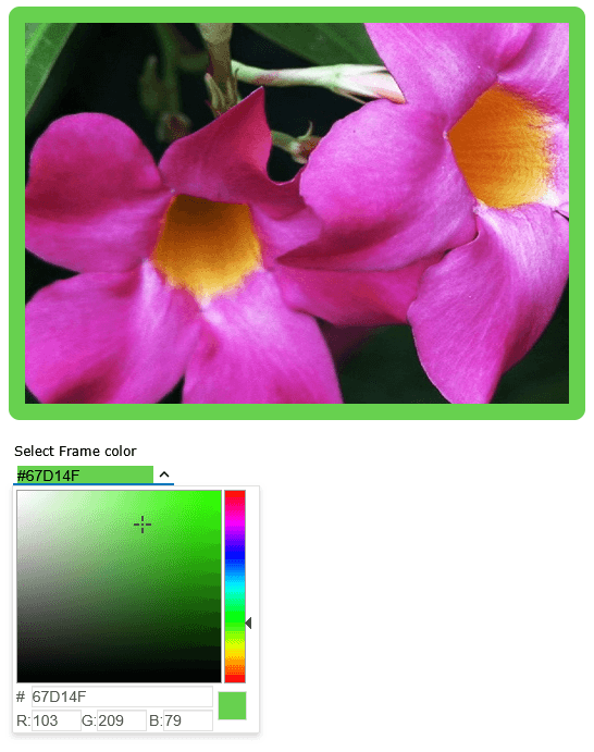 jQWidgets React UI Selection Controls product image