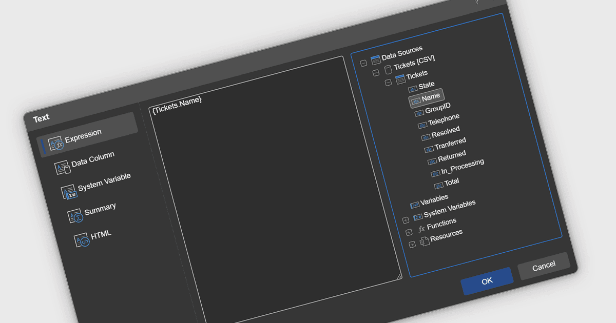 Streamline Report Editing with Built-in Data Access