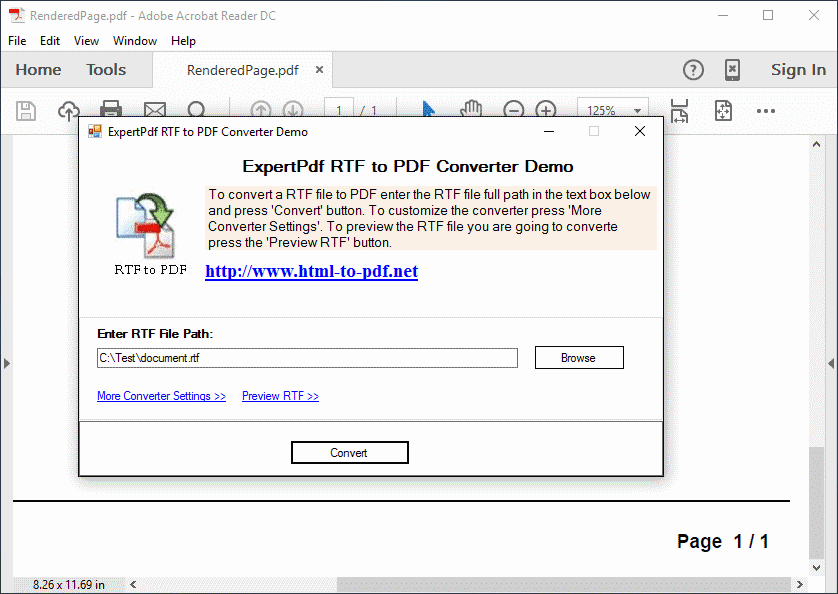 ExpertPDF RTF To PDF also lets you create and control page footers.