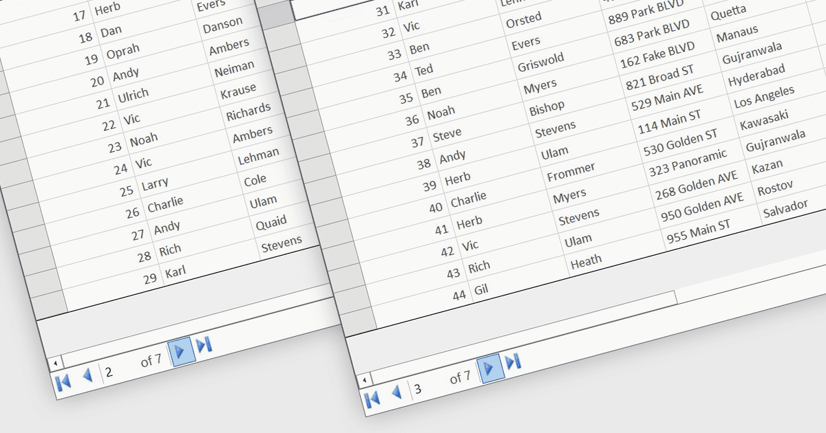 Add Data-Virtualized Paging to WinForms Datagrids