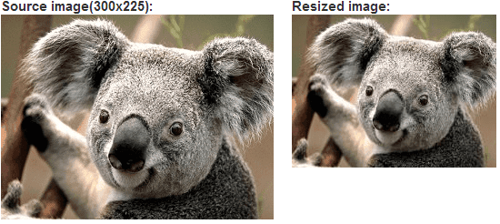 ComponentOne ASP.NET Web Forms BinaryImage product image