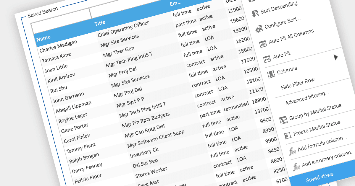 How to Save Searches in Grids