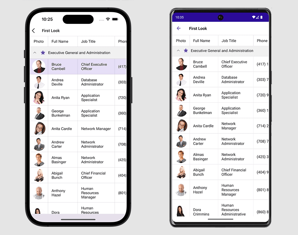 DevExpress .NET MAUI Data Grid 제품 이미지