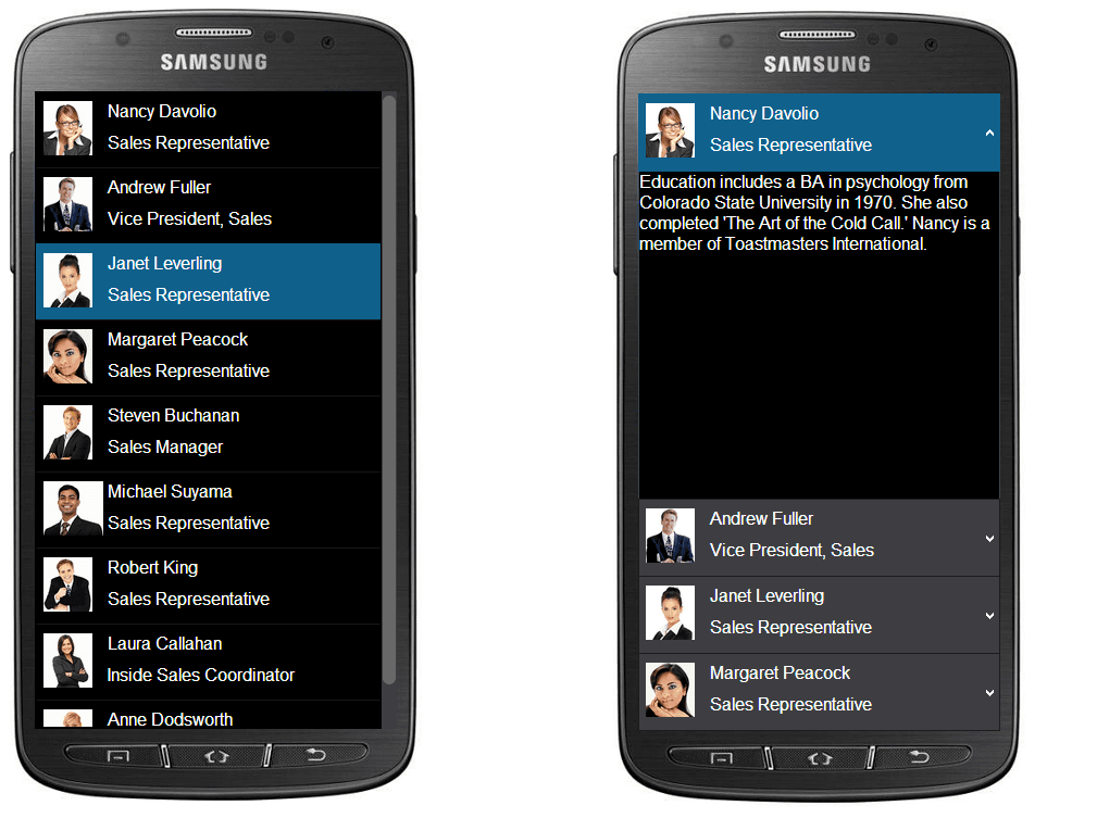 jQWidgets product image