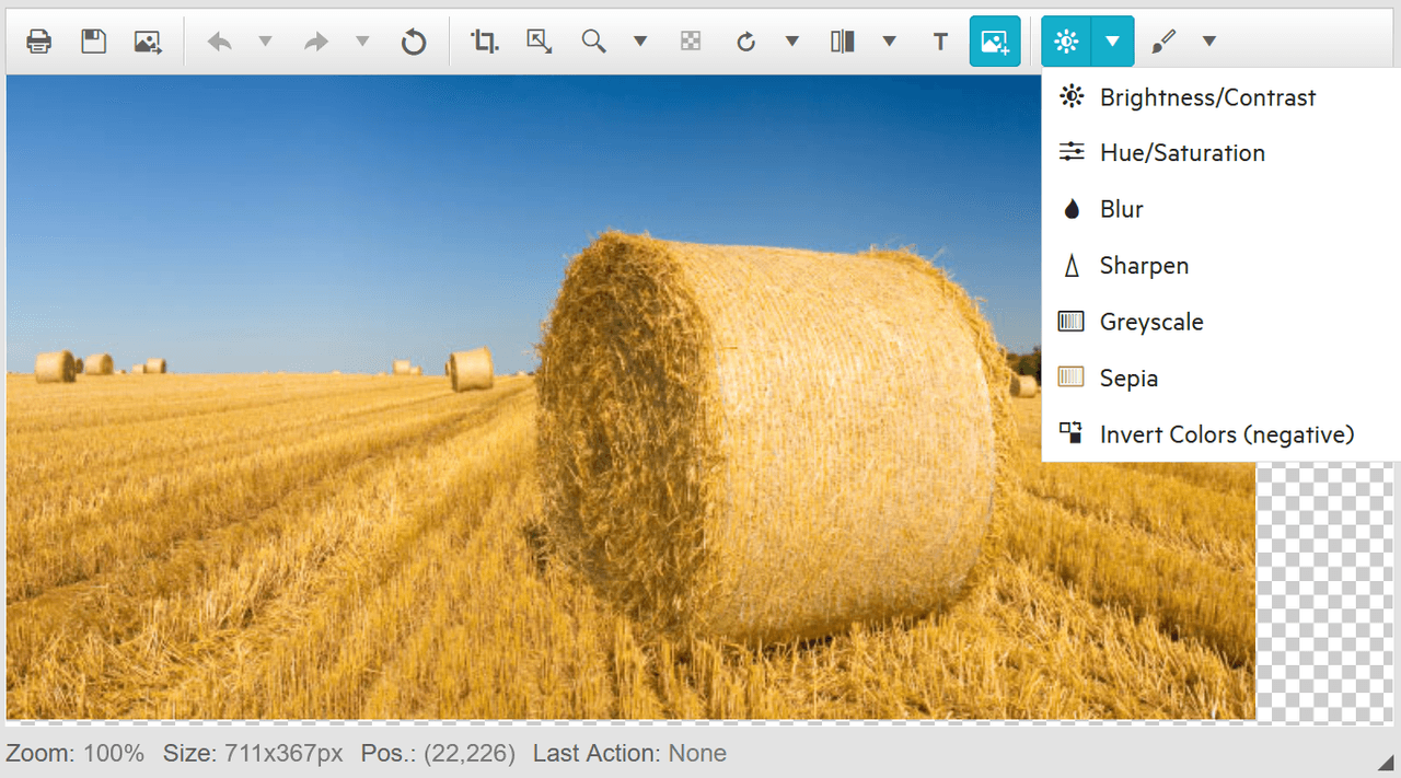 immagine del prodotto Telerik UI for ASP.NET AJAX Image Editor immagine del prodotto Telerik UI for ASP.NET AJAX Image Editor