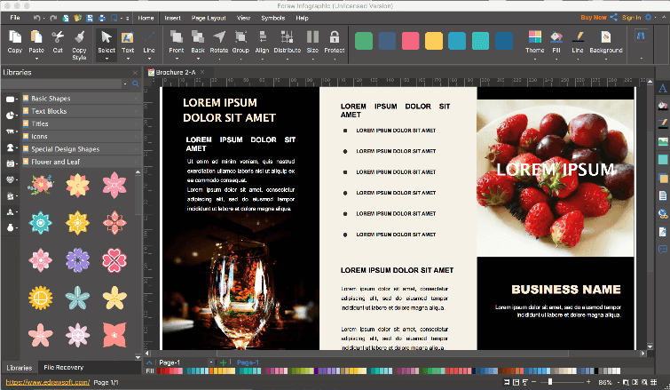 Brochure