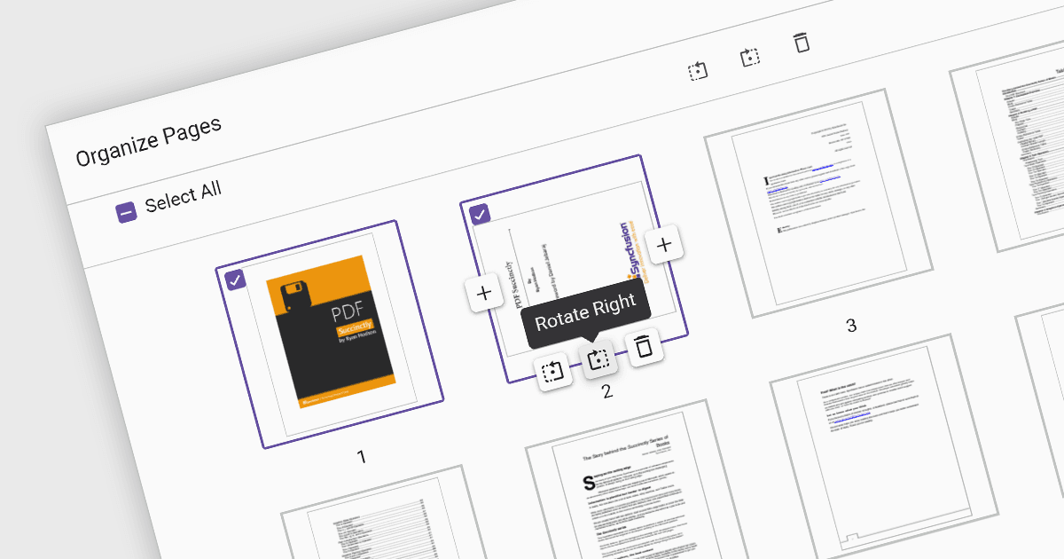Easily Organize Pages within a PDF