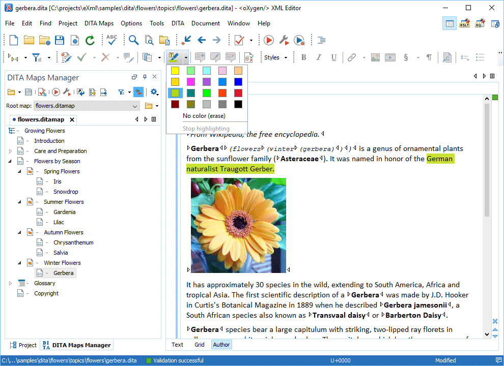 Oxygen XML Author Produktbild