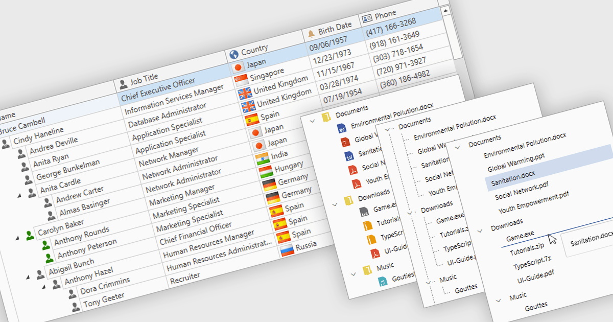 Organize Large Data Sets with Visual Hierarchy
