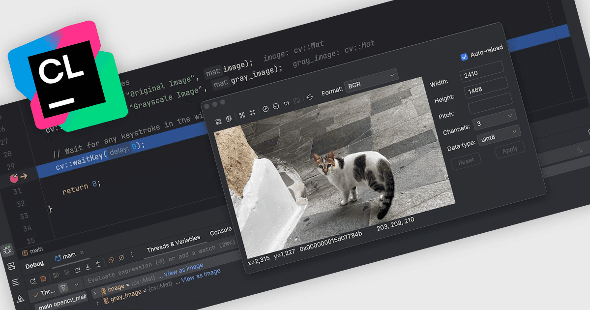 Visualize Your Data with an OpenCV Image Viewer