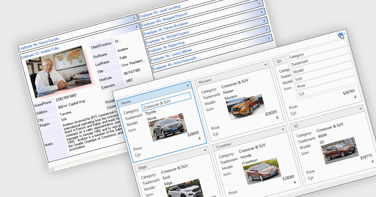 Format Data Grids as Cards in .NET Applications