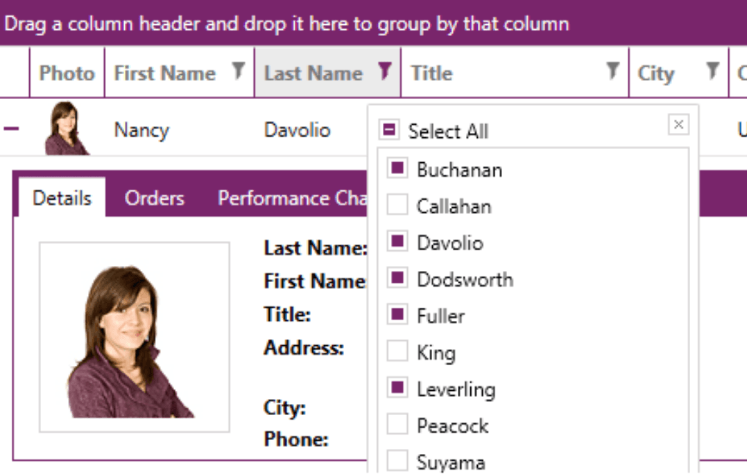 Telerik UI for WPF UI Selection Controls 產品圖片 Telerik UI for WPF UI Selection Controls 產品圖片