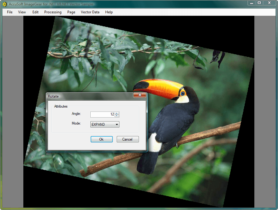 ImageGear for .NET product image