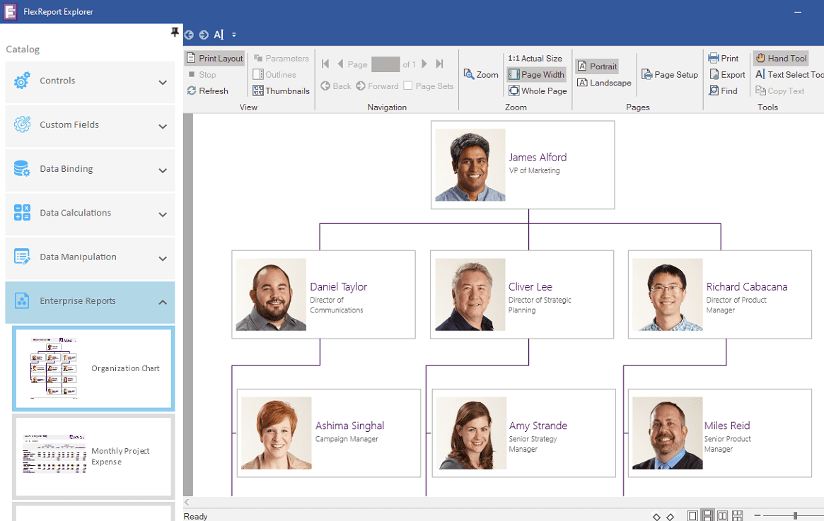 ComponentOne WinForms FlexReport product image ComponentOne WinForms FlexReport product image
