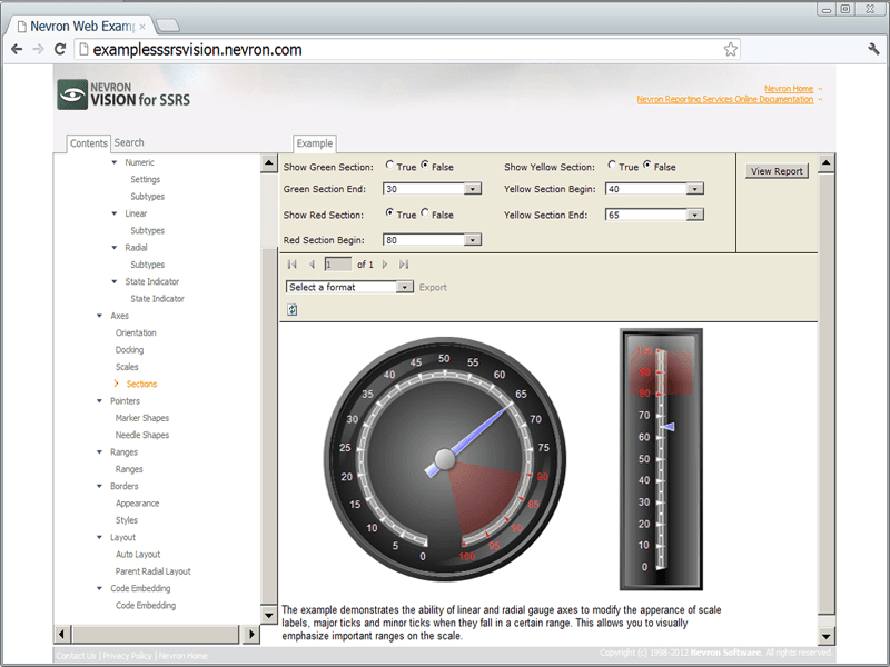 Nevron Gauge for SSRS product image