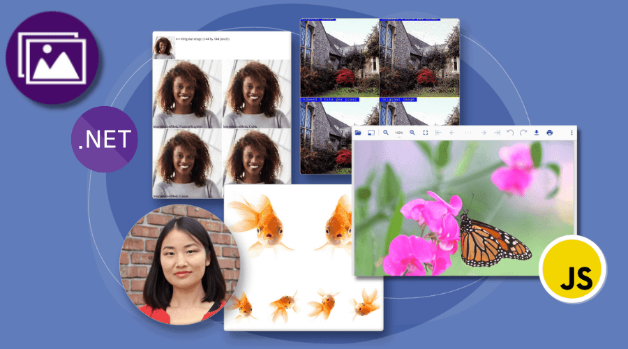 Create, load, modify, and save images in .NET applications.