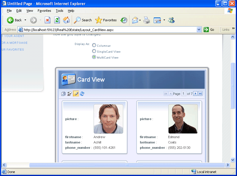 Grid FX Card view layouts have an easy way to template and present data and provide you with more complex views than standard row and column layout. Card view items appear as individual or multiple cards similar to an address card file since in many cases is the best way to view data items.You can choose from various templates: single card, multiple columns Tiled card or you can customize your own layout to meet your needs./