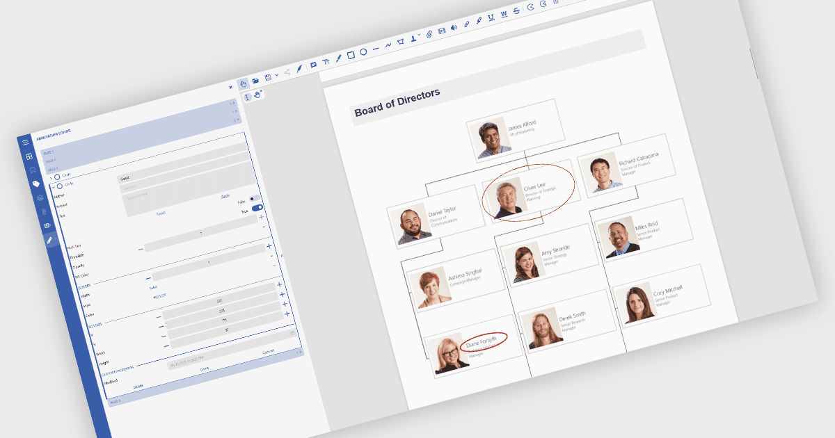 Use Ellipse Shapes for Focused Document Review