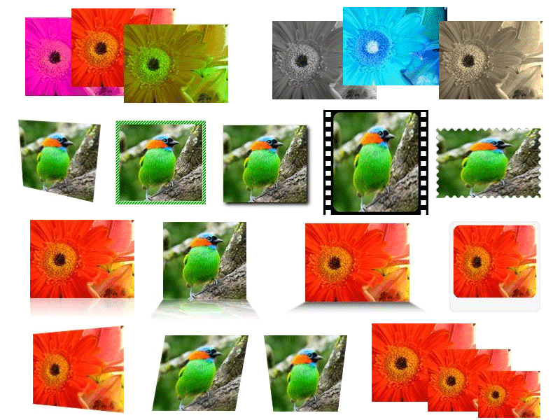 immagine del prodotto Neodynamic ImageDraw for ASP.NET
