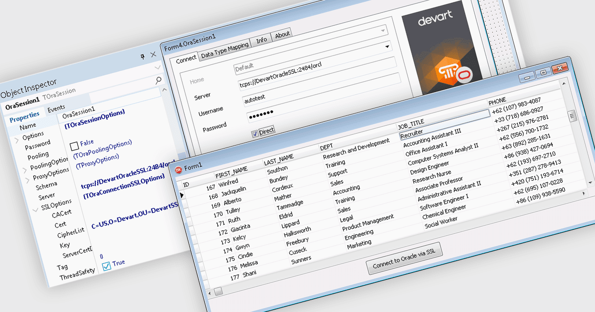 Connettiti ai database più diffusi da RAD Studio 13