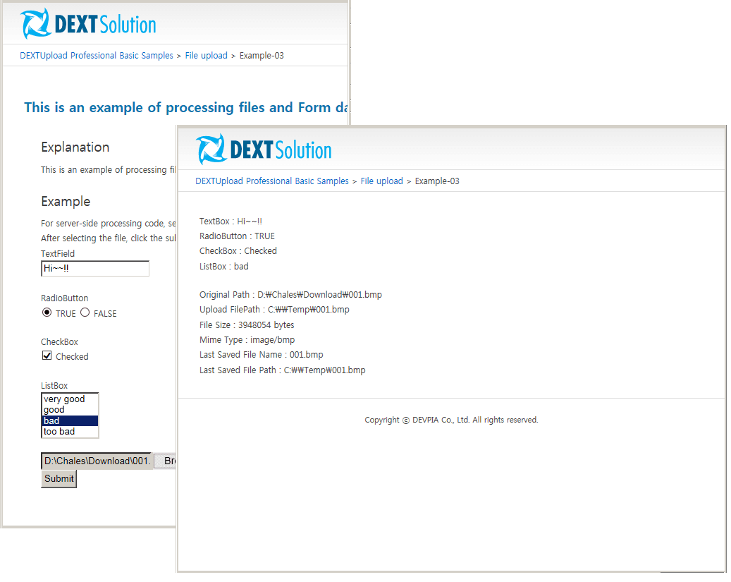 Add the ability to upload files to your Web applications.