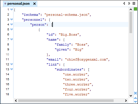 Oxygen JSON Editor 제품 이미지