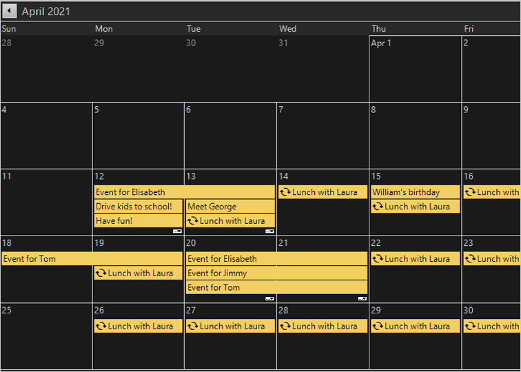 MindFusion.Scheduling for WinForms product image