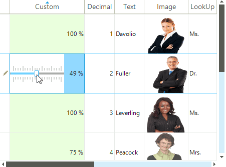 immagine del prodotto Telerik UI for WinForms Data Editors