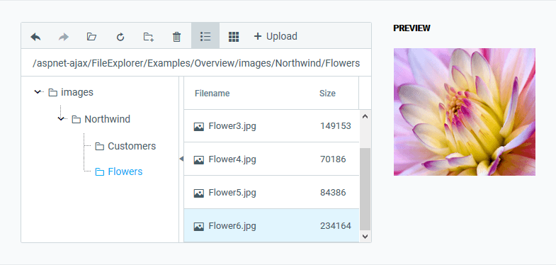 imagen del producto Telerik UI for ASP.NET AJAX